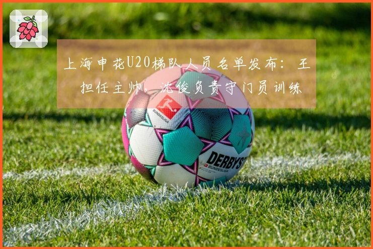 上海申花U20梯队人员名单发布：王赟担任主帅，沈俊负责守门员训练